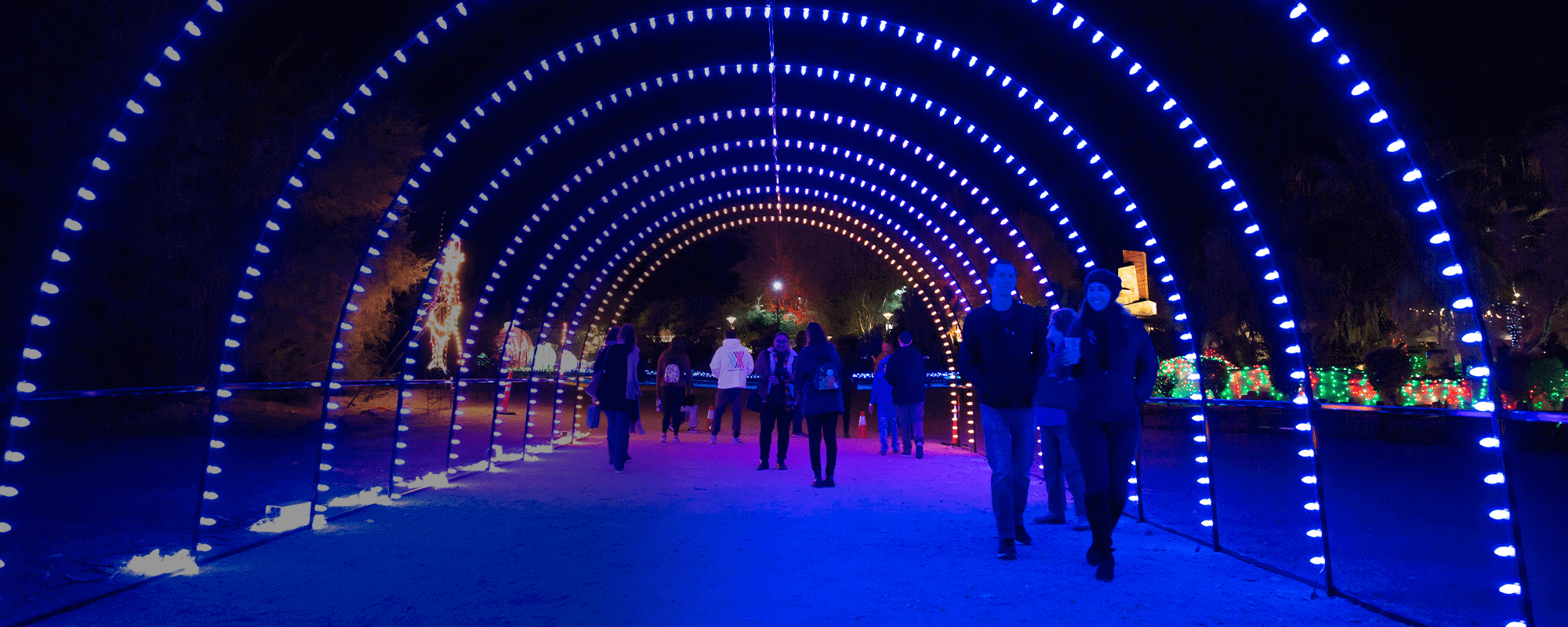 wildlights